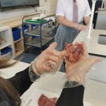 Photo by Science@Maghull High (@MHS_Science_)