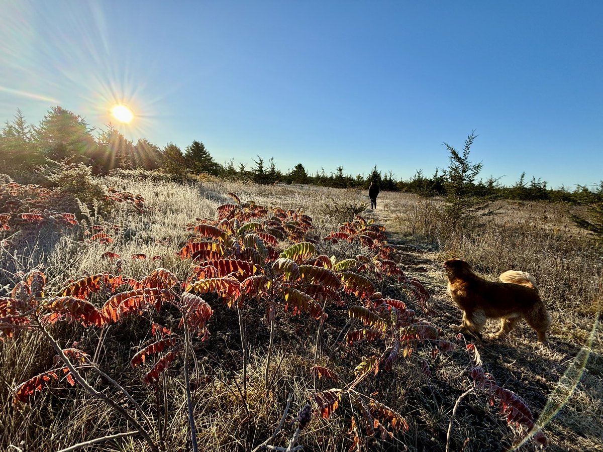 Frosty feels this morning! 🥶🍁🥶#fall #winter #Canadian }#seasons