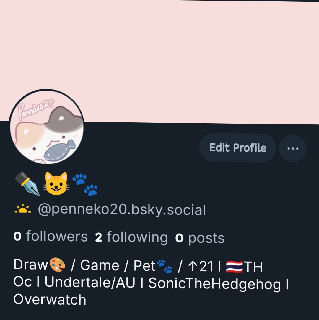 🐱✒️🐾 tweet media