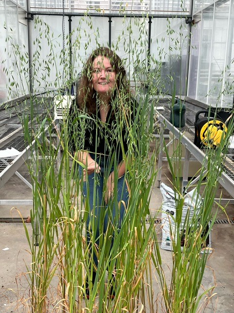 AFBI Crossnacreevy tweet media