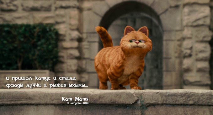 Блог Кота Моти.: Ответусы и пользы catmotya.blogspot.com/2024/10/blog-p…