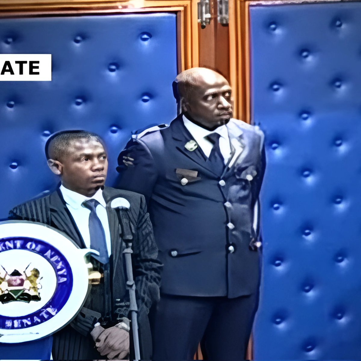 We are here! We are there! We are everywhere.
Doing this! Doing that! Doing everything!
(1970, 1992, 2011 '1999) 

#IwenTus
#IWentToAlliance 
#StrongToServe