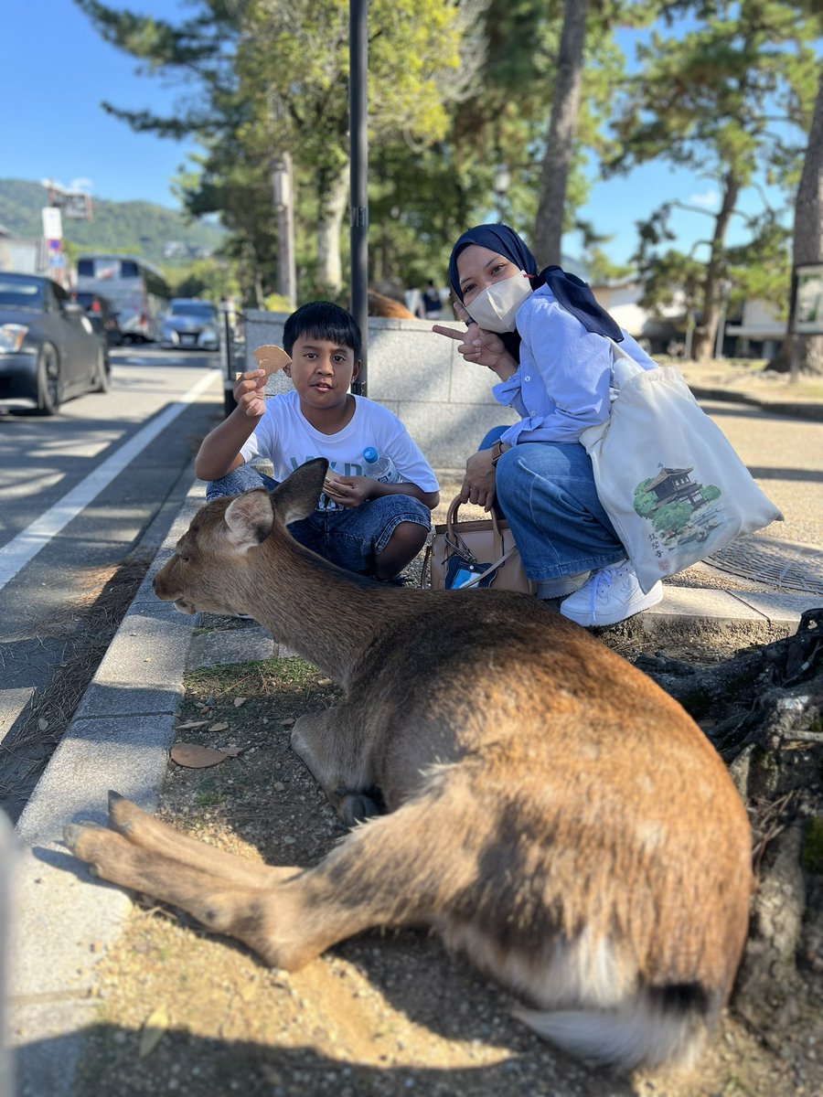 Nee_Chan27's tweet photo. Trip ke Nara kali ini aku berhasil foto tanpa takut diseruduk ❤️❤️ https://t.co/gKqfF0JfqQ