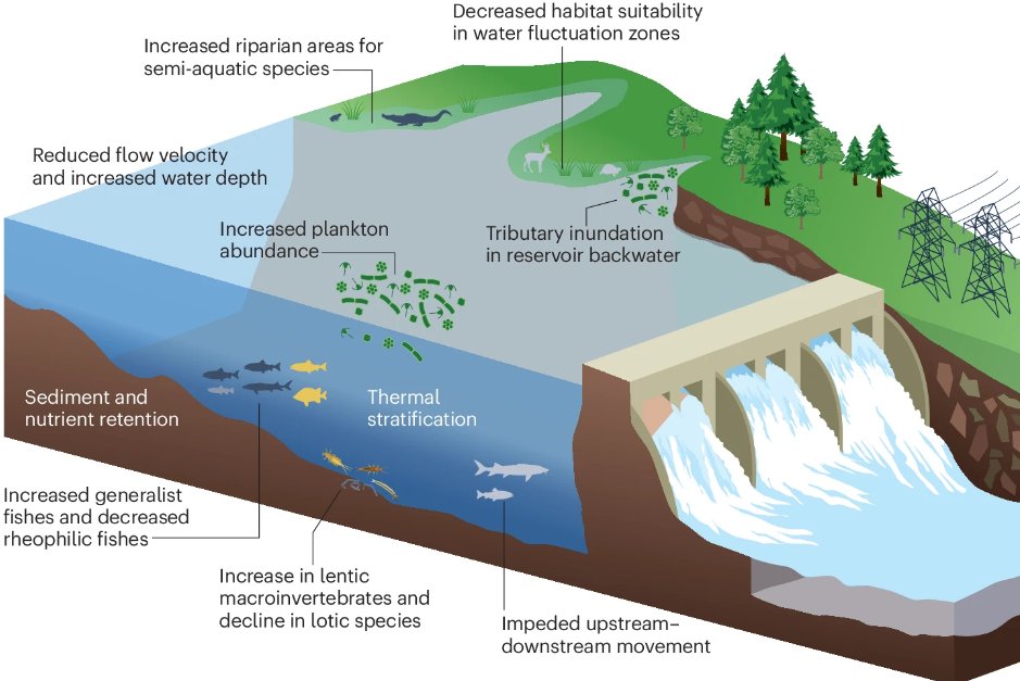 Nature Reviews Earth & Environment 🌈 (@natrevearthenv) on Twitter photo 📢 New Review!
Hydropower impacts on riverine biodiversity🐟🏞️
By <a href="/FengzhiHe/">Fengzhi He</a>, C. Zarfl (<a href="/ETuebingen/">Environmental Systems Analysis Tuebingen</a>), <a href="/KlementTockner/">Klement Tockner</a>, @oldenfish, Z. Campos, <a href="/FabioMu10038534/">Fabio_Muniz</a>, <a href="/JCSvenning/">Jens Svenning</a> & <a href="/SCJaehnig/">Sonja Jähnig</a>
nature.com/articles/s4301… (Free-to-read rdcu.be/dXhZ2) 📢 New Review!
Hydropower impacts on riverine biodiversity🐟🏞️
By <a href="/FengzhiHe/">Fengzhi He</a>, C. Zarfl (<a href="/ETuebingen/">Environmental Systems Analysis Tuebingen</a>), <a href="/KlementTockner/">Klement Tockner</a>, @oldenfish, Z. Campos, <a href="/FabioMu10038534/">Fabio_Muniz</a>, <a href="/JCSvenning/">Jens Svenning</a> & <a href="/SCJaehnig/">Sonja Jähnig</a>
nature.com/articles/s4301… (Free-to-read rdcu.be/dXhZ2)