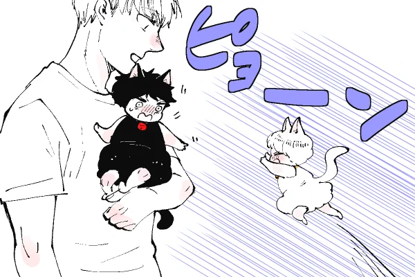 🐱キラキラにゃんこ生活
ぴょーーーん🐾💨💨💨 