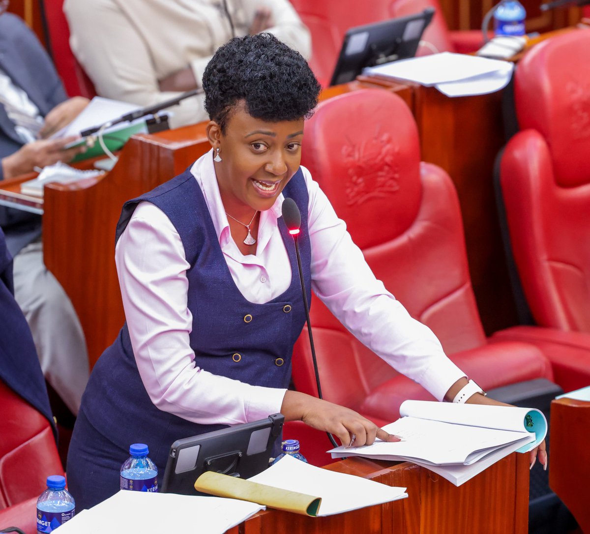Thursday, 17th October 2024, while deliberating on matters relating to the impeachment of Deputy President, <a href="/rigathi/">Rigathi Gachagua</a> 

#YouthAndWomenAdvocate