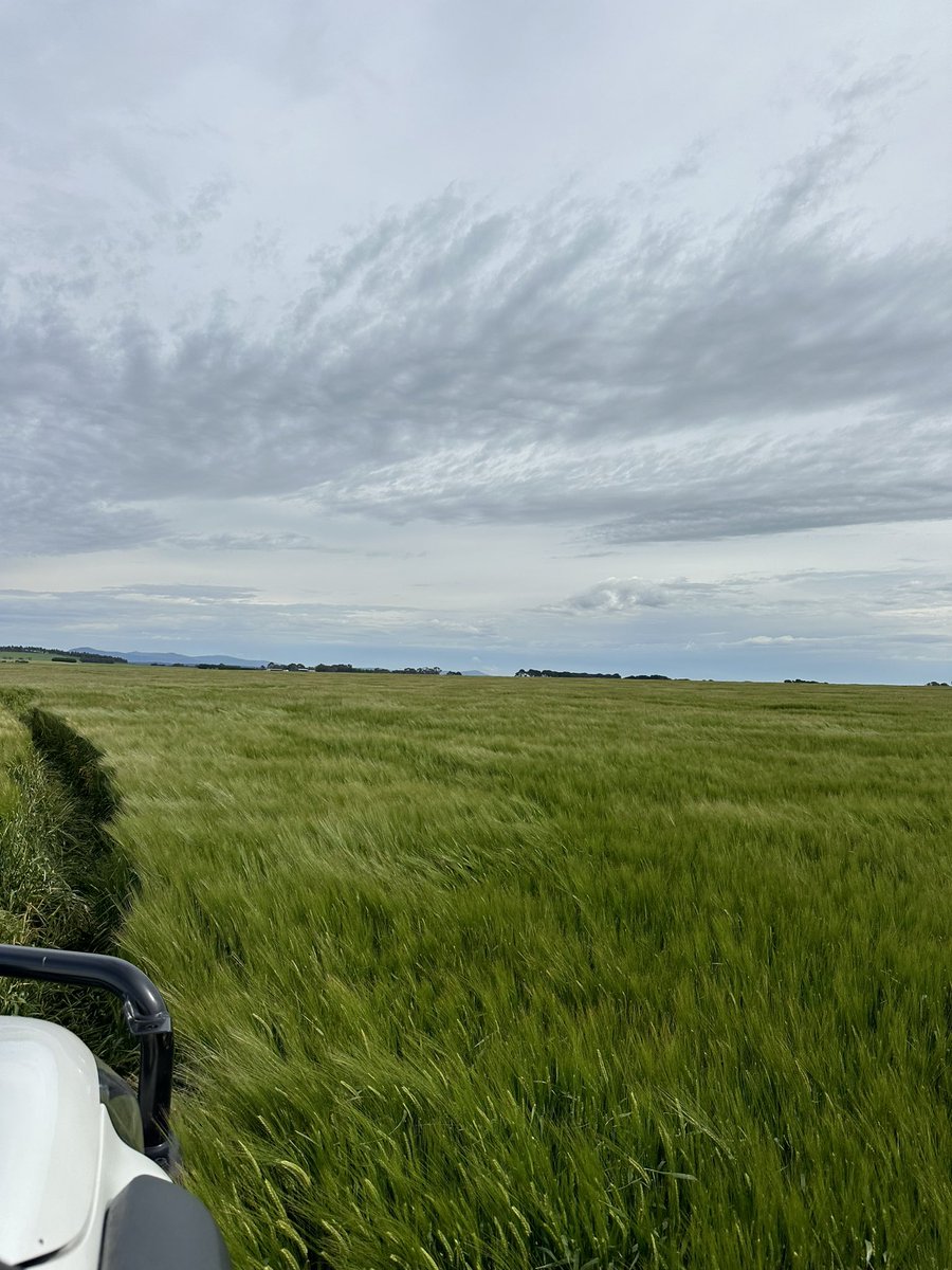 Altora Ag - Ballarat tweet media