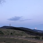 Photo by CBR Mel (@CanberraMel)