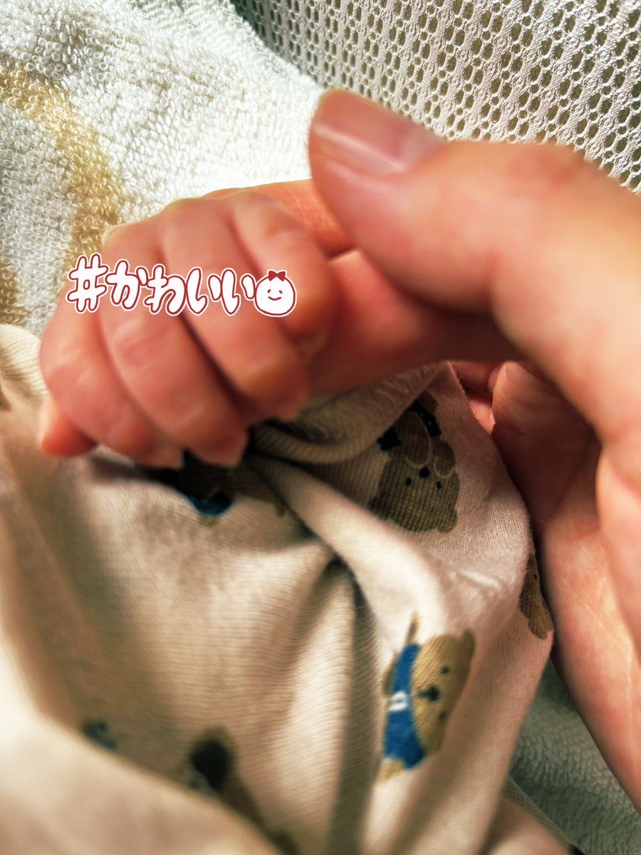 ancly23's tweet photo. 私事ですが先日無事元気な男の子👶を出産しましたー！妊娠中色々お気遣いいただきありがとうございました！
予定より3週間も早くて全然心の準備できてなかったし、分娩時間6時間のスピード出産に身体がついてかなくて、とんでもないところまで縫ったのと腫れてるせいでほぼベッドの上でヒーヒー💦 https://t.co/PC3NbvBPmg