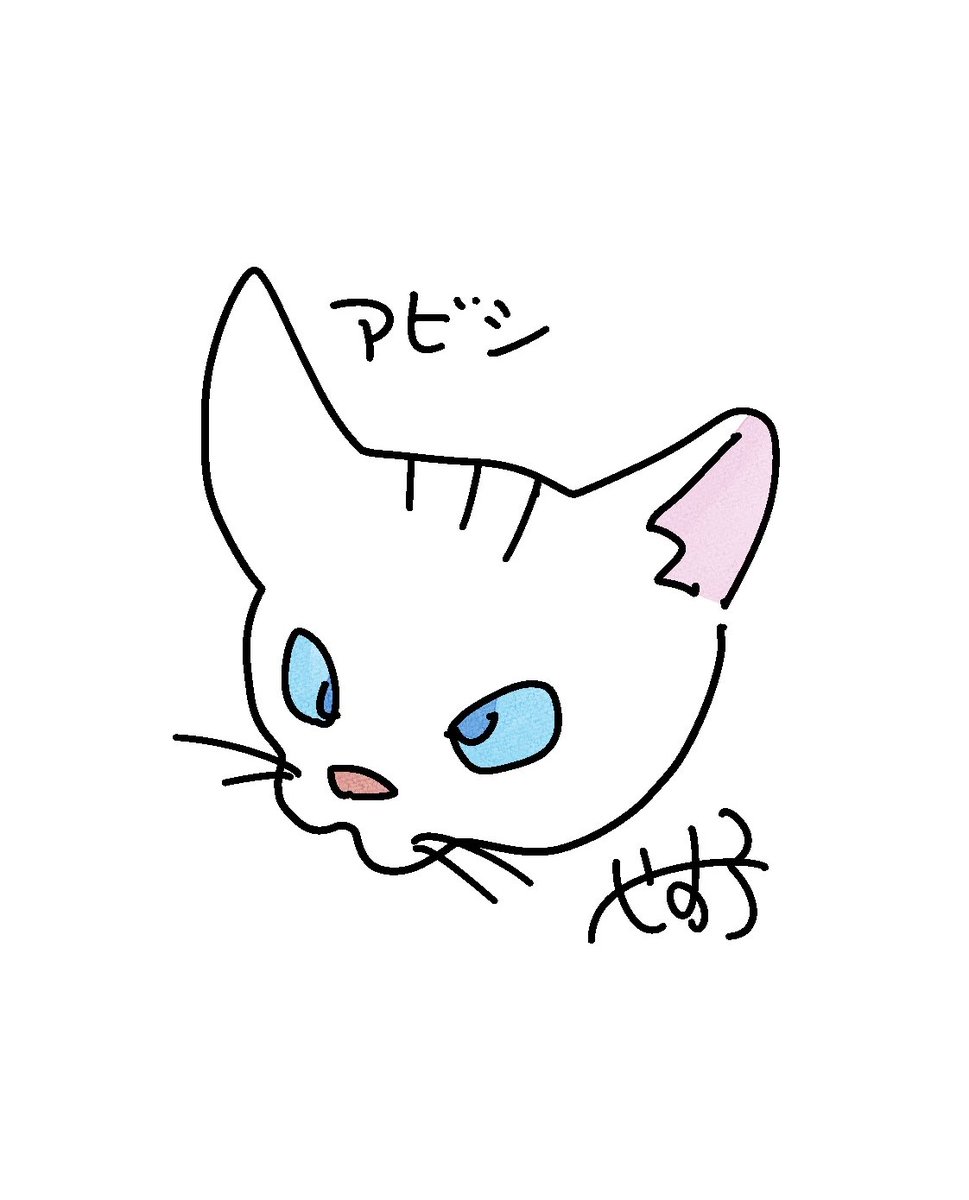 やす子 tweet media