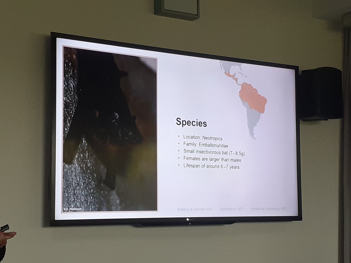 DZG section Behavioural Biology tweet media