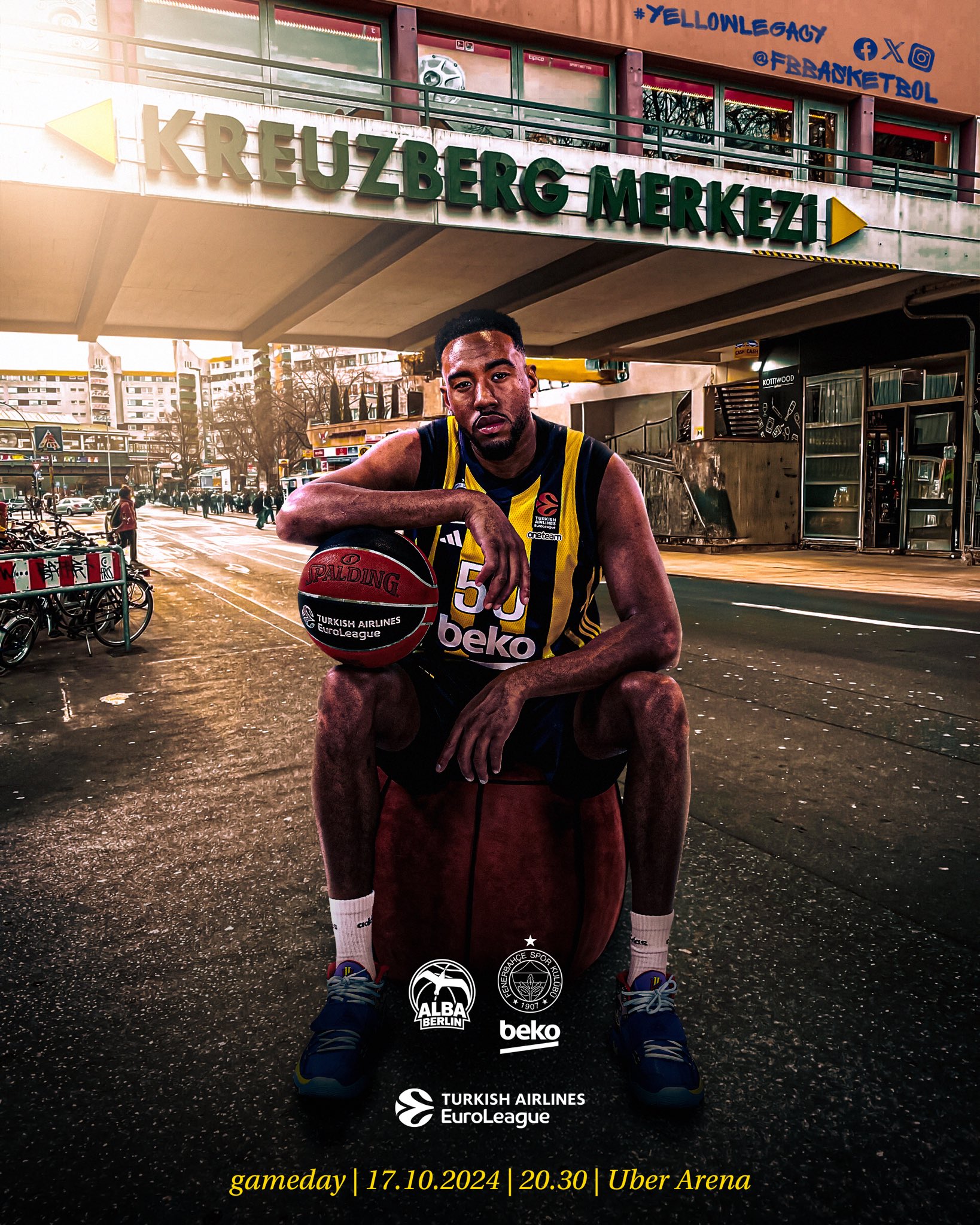 alba fenerbahçe beko