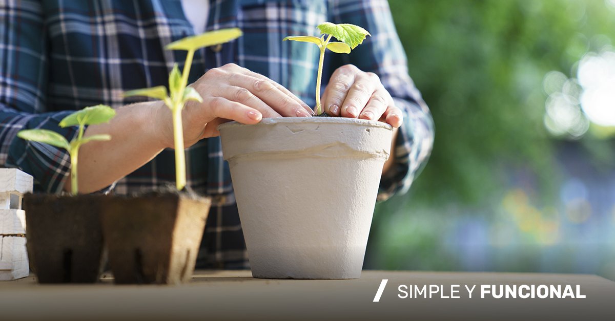 CreceAgency's tweet photo. Simplicidad y funcionalidad: estos son los pilares de cada uno de nuestros proyectos. Nos enfocamos en crear soluciones visuales que, sin perder su sofisticación, logran ser efectivas mediante un diseño claro y directo. 

#creceagency

🌱 https://t.co/2kpkzVM8i8 https://t.co/h0VxUNcDKl