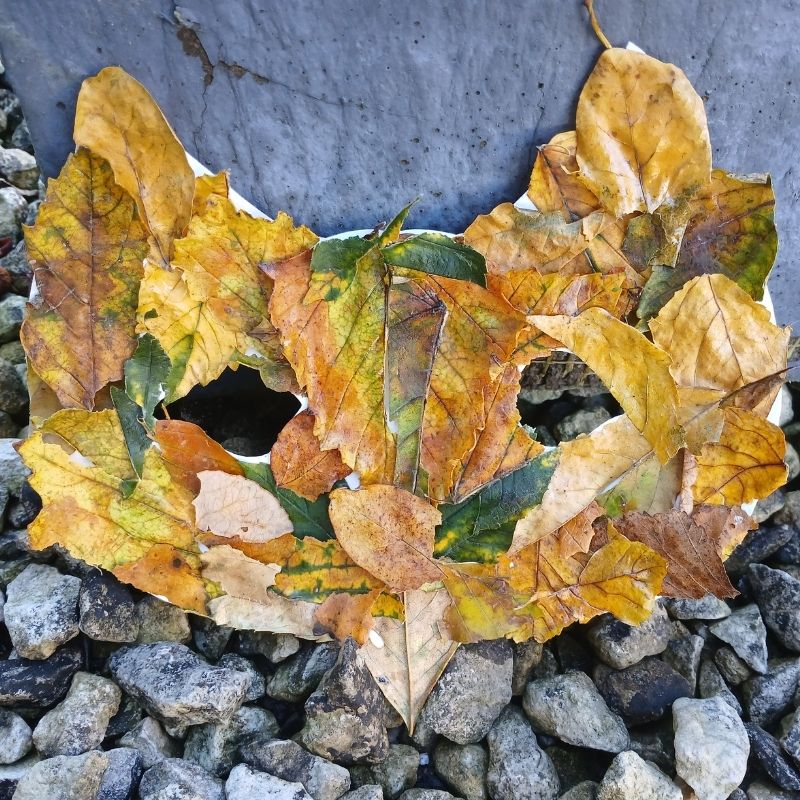 Just two weeks to go until our Mask Making Family Activity! 🍂

Collect some colourful leaves on your walk around Lydiard Park, then join us on 31 October to transform them into a fun, scary or animal mask. 🎭

More info ➡️ lydiardpark.org.uk/event/mask-mak…