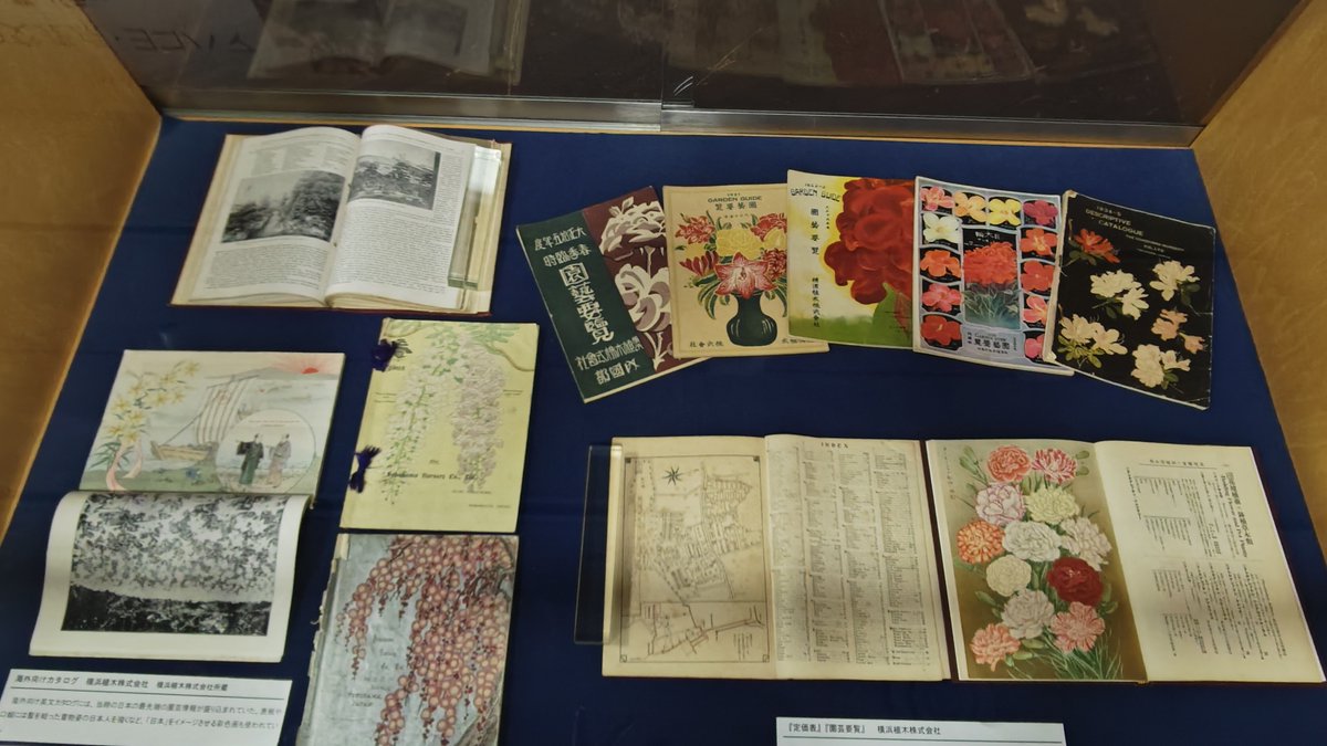 中央図書館1階展示】 「東西園芸文化の交差点・ヨコハマ－ユリ・朝顔