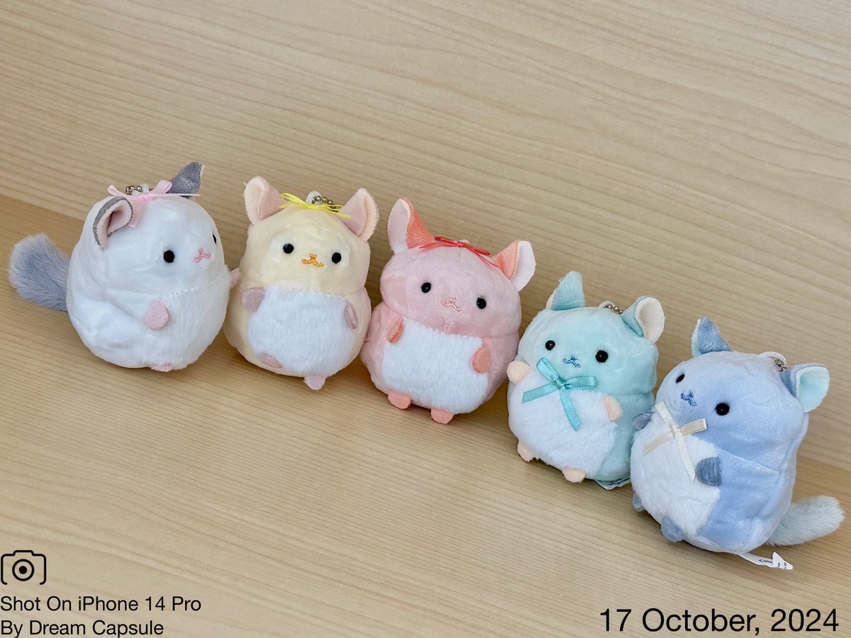 🌟新入荷ガチャ商品プレゼントCP🌟

もっちり触感がたまらない！カラフルなチンチラのぬいぐるみ登場！
「もちふわっ♡ ちんちら〜ず」

フォロー&amp;RP(RT)していただいた方の中から抽選で2名様に全5種セットをプレゼント🎁
ドリカプへの入荷日とキャンペーン詳細は↓

#ドリームカプセル #ガチャ専門店