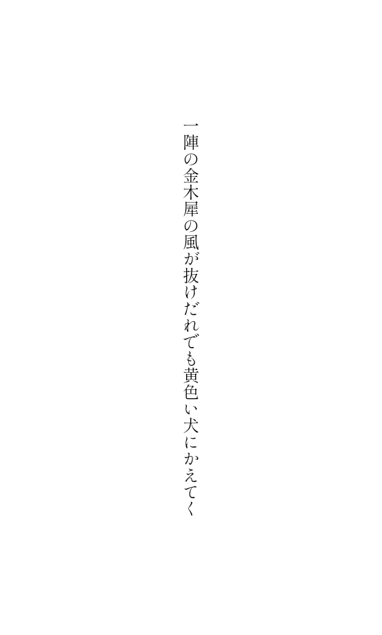 みながわ tweet media