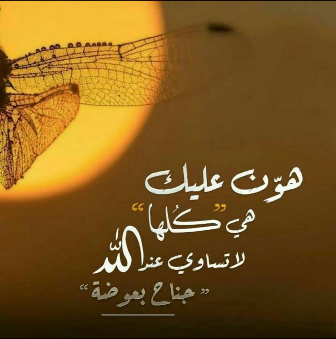 💌
هَوِّنْ عليكَ
هي كلُّهَا لا تُسَاوي عند اللهِ جناحَ بعوضه

قَالَ رَسُول الله ﷺ: "لَو كَانَت الدُّنْيَا تَعدِلُ عِنْدَ اللَّه جَنَاحَ بَعُوضَةٍ مَا سَقَى كَافِرًا مِنْها شَرْبَةَ مَاءٍ"

🤲🏻اللهم جنة الفردوس الأعلى لي ولأحبابي ووالديينا ووالداتنا أجمعين وكل من قال آمين