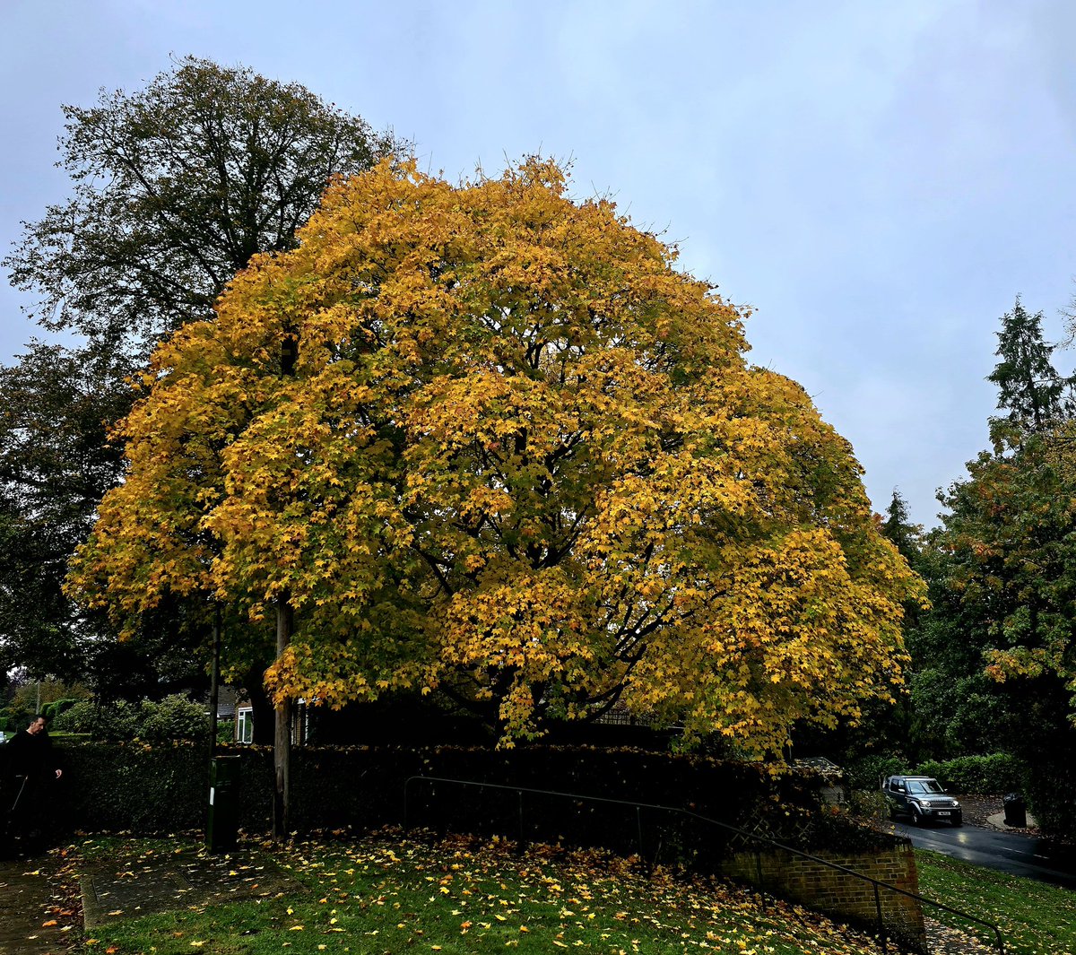 Roger of RTW tweet media