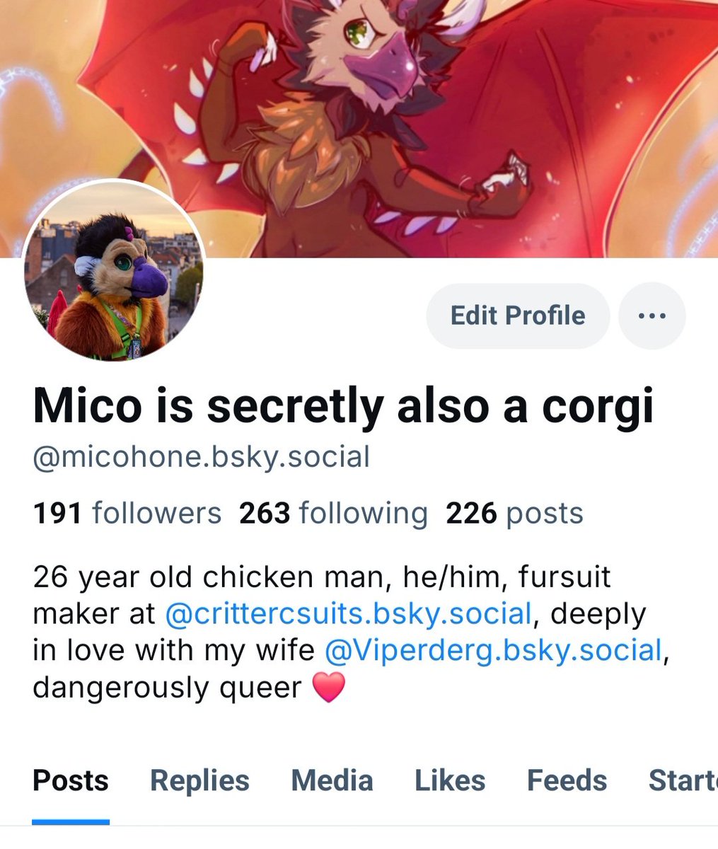 Mico Chicken 🏳️‍⚧️🏳️‍🌈 tweet media