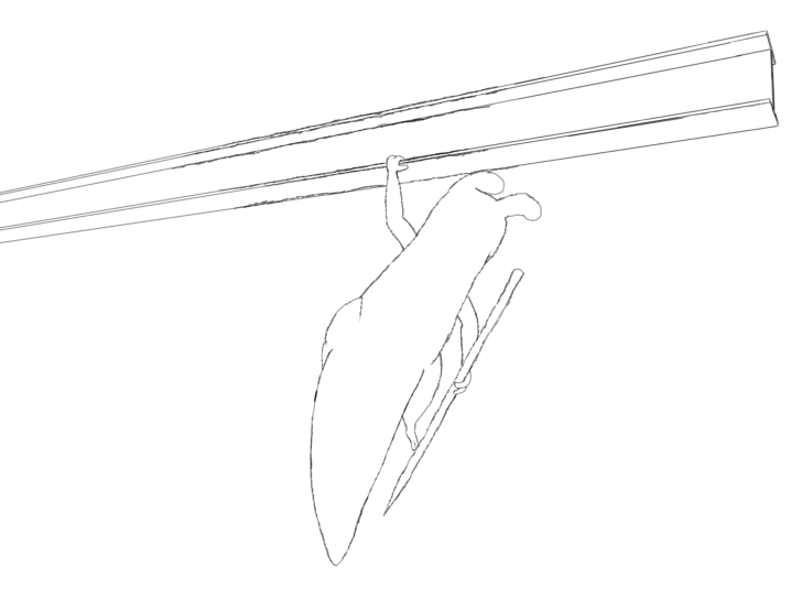 enderyor's tweet photo. POV: scug moment #sketchart #rainworlddownpour #art

might make something out of this eventually... https://t.co/dMUalDvYbM