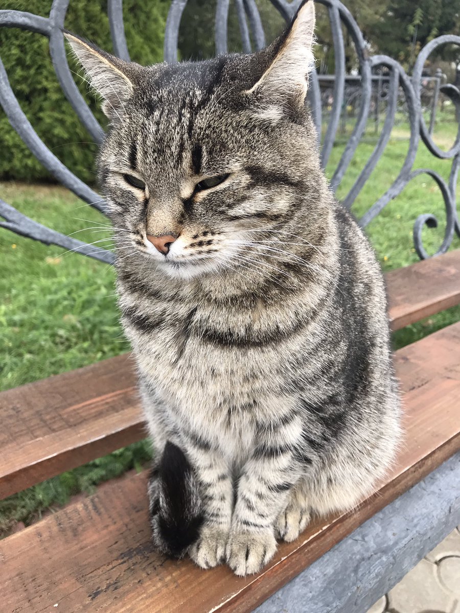 Такое чувство, что Футурама знает что-то очень важное, то, что словами не расскажешь. 
Вечная Память Алексею!