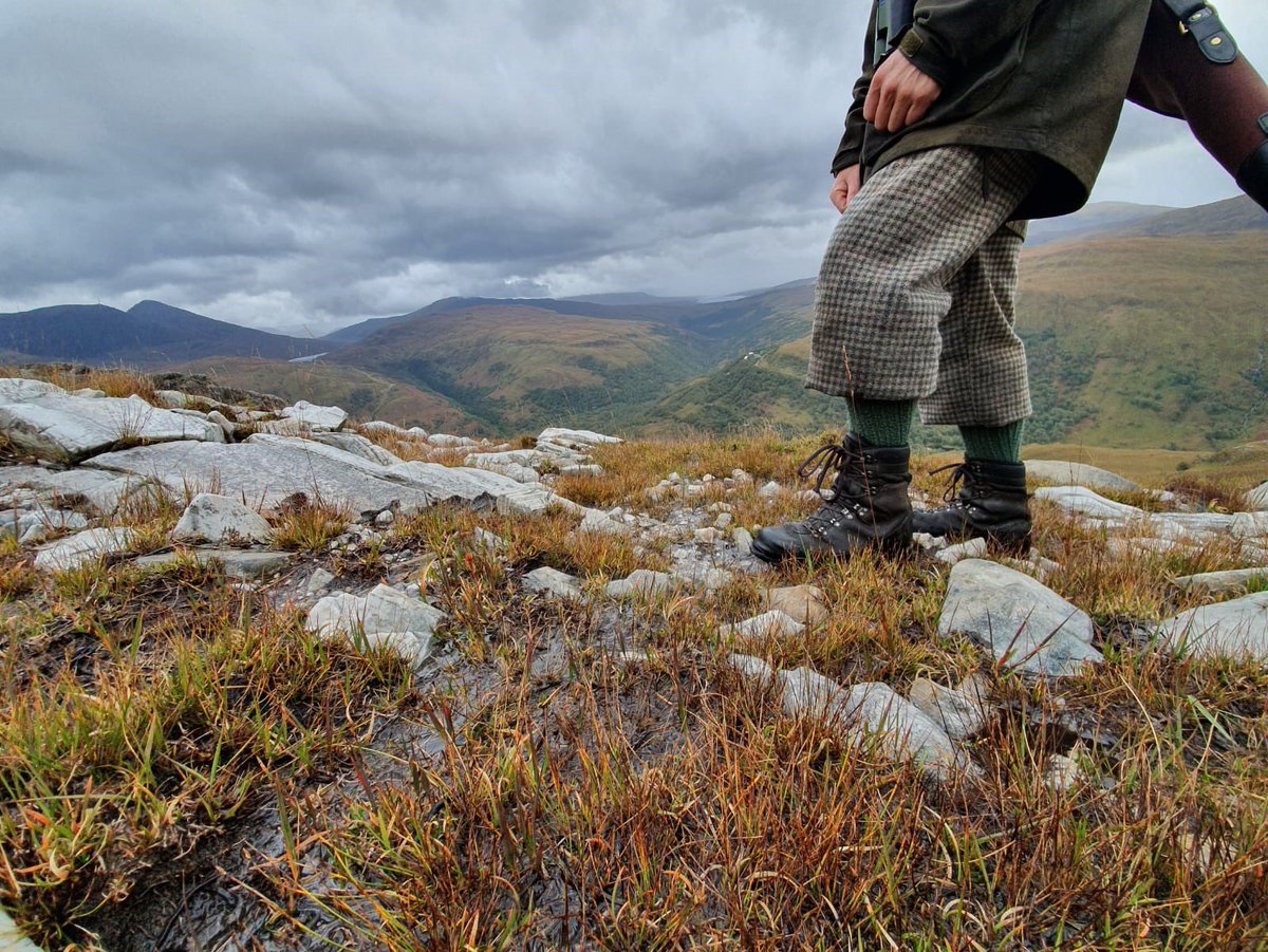 ALVANCE British Aluminium tweet media