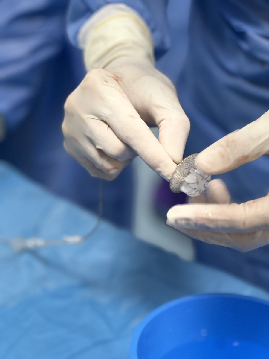 Alejandra Gonzalez tweet media