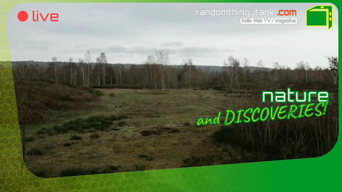 RdmThingytanK's tweet image. 🟢 LIVE
📡  Unveiling Nature’s secrets, one groundbreaking discovery at a time.
🌊?️🔍🦋🏞
Roll on over to randomthingytank.com for a dice-licious journey!

 #NatureUnveiled #DiscoverTheUnknown #ExploringBeyond #IntoTheWild #NaturalM #streaming #indie #indiestreamer