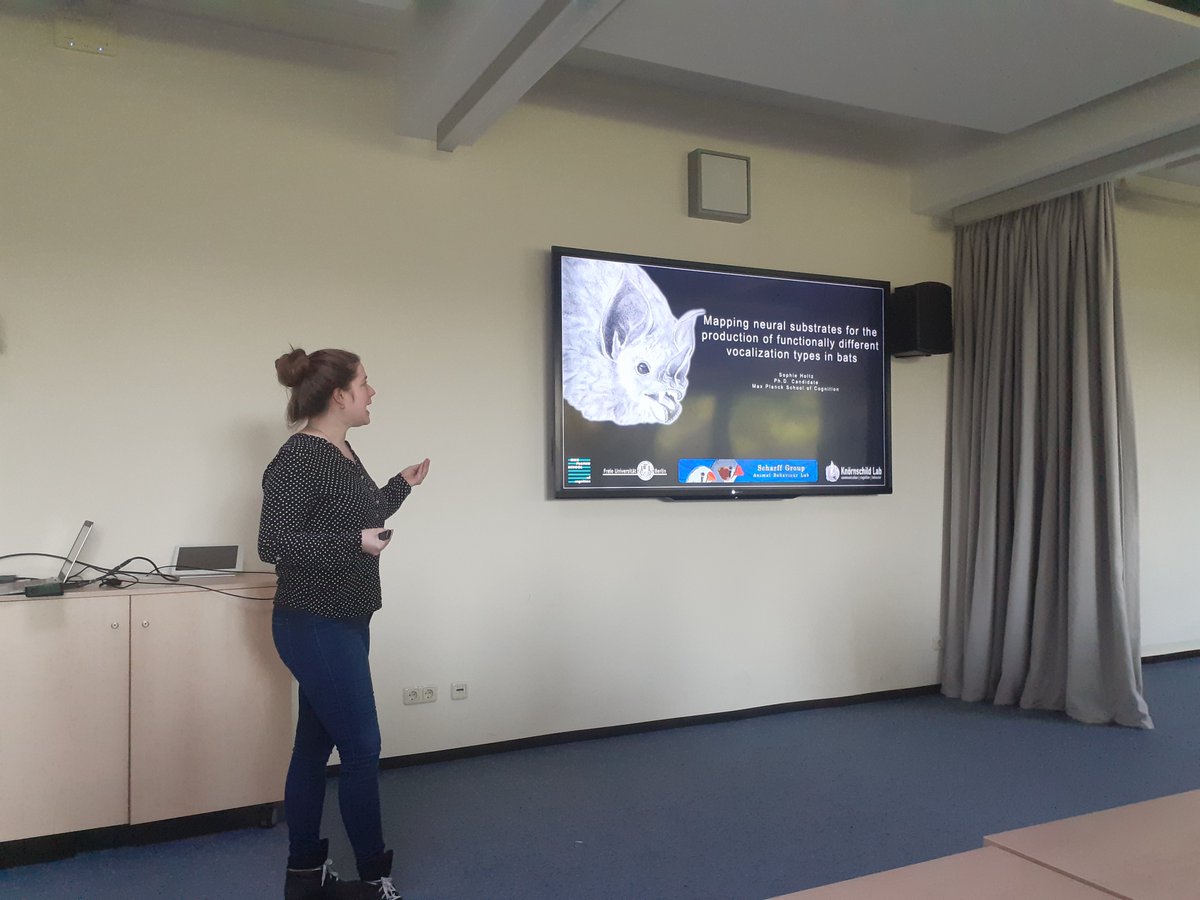 DZG section Behavioural Biology tweet media