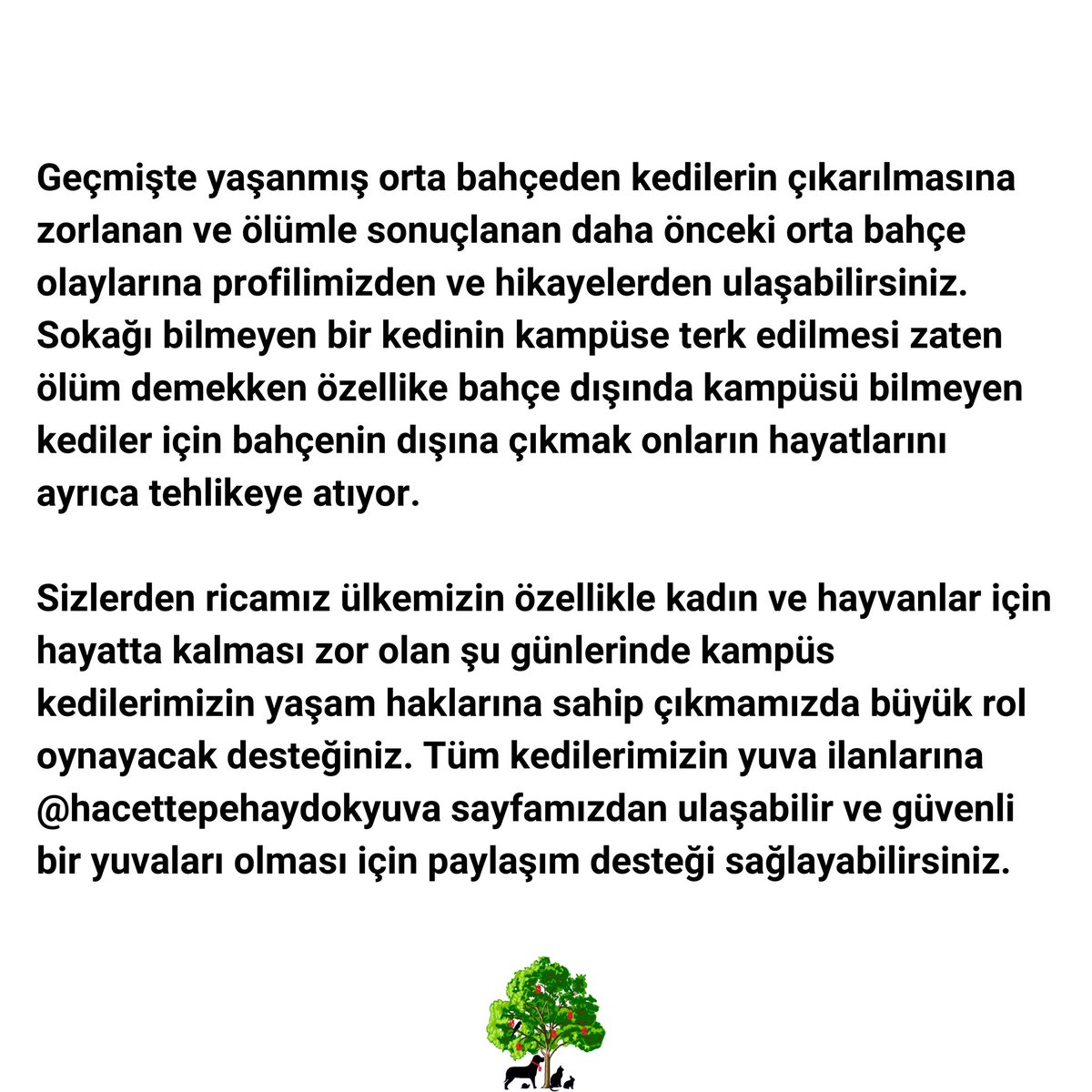 Merhaba, sizlere kampüs kedilerimiz için hayati bir önem taşıyan konudan bahsedeceğiz. Sonuna kadar okumanızı rica ediyoruz.