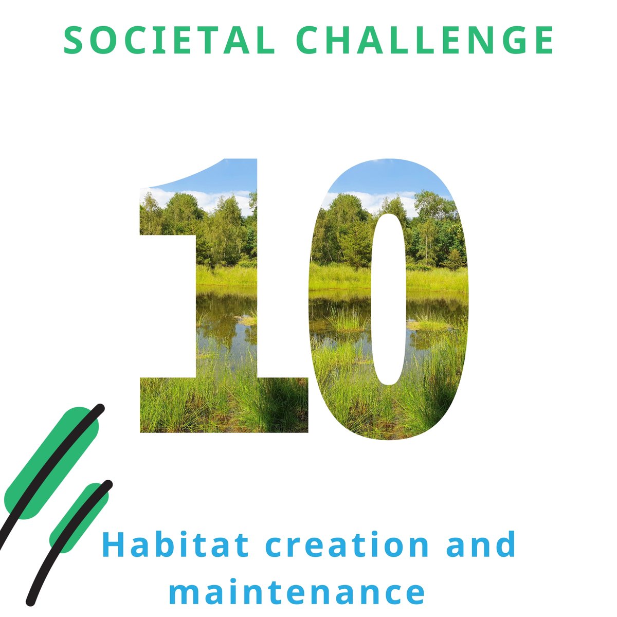 Ponds are vital habitats for freshwater biodiversity. We summarise the key practical measures needed to protect, manage, restore and create ponds and pondscapes to maximise the habitat creation and maintenance benefits they provide.