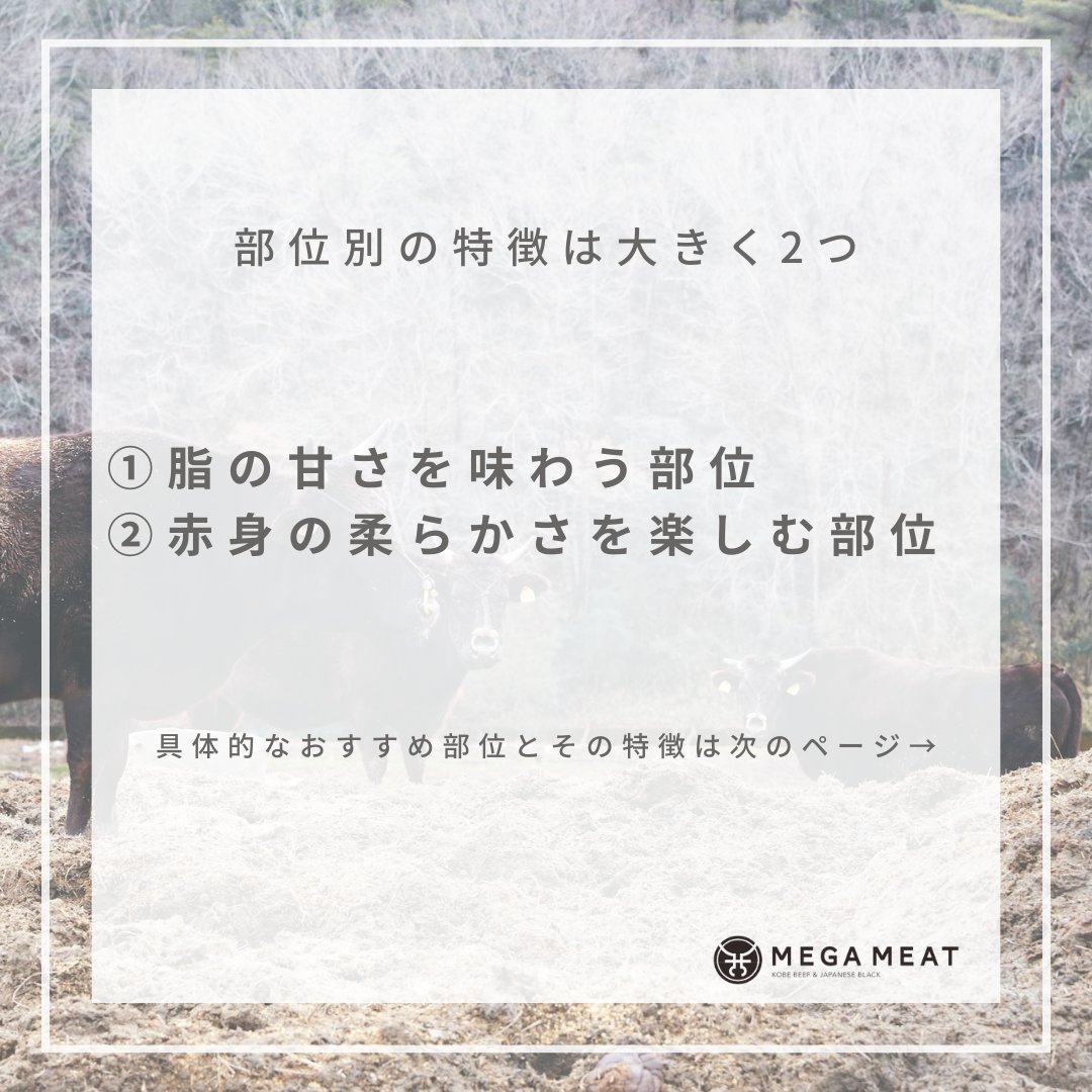 _megameat's tweet photo. せっかく美味しいお肉屋さんに行って、いざステーキを頼もうとした時、部位がたくさんあって何を選べばいいか困る。。。みたいなことありませんか？

今日はそんな方にステーキのおすすめ部位をご紹介します！ https://t.co/MMFxLuMCRx
