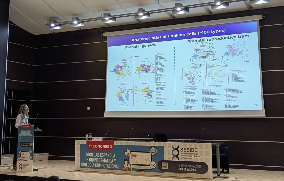 AnaConesa (@anaconesa) on Twitter photo Second day of the <a href="/SEBiBC_es/">SEBiBC</a> conference starts with <a href="/LuzGarAl/">Luz Garcia Alonso</a> , CellphoneDB developer talking about her impressive work on creating cell atlases of the female reproductive system #single-cell <a href="/BCBHubCSIC/">BCBHubCSIC</a> <a href="/INB_Official/">INB / ELIXIR-ES</a> Second day of the <a href="/SEBiBC_es/">SEBiBC</a> conference starts with <a href="/LuzGarAl/">Luz Garcia Alonso</a> , CellphoneDB developer talking about her impressive work on creating cell atlases of the female reproductive system #single-cell <a href="/BCBHubCSIC/">BCBHubCSIC</a> <a href="/INB_Official/">INB / ELIXIR-ES</a>