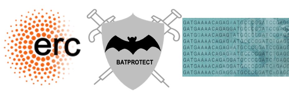 Michael Hiller (@hillermich) on Twitter photo Job Alert. We have 6-year funded positions for a postdoc and bioinformatician to join our <a href="/ERC_Research/">European Research Council (ERC)</a> #BATPROTECT project. Topics include genome assembly, annotation, comparative genomics & transcriptomics and more. Pls RT. tbg.senckenberg.de/hillerlab/jobs/ Job Alert. We have 6-year funded positions for a postdoc and bioinformatician to join our <a href="/ERC_Research/">European Research Council (ERC)</a> #BATPROTECT project. Topics include genome assembly, annotation, comparative genomics & transcriptomics and more. Pls RT. tbg.senckenberg.de/hillerlab/jobs/