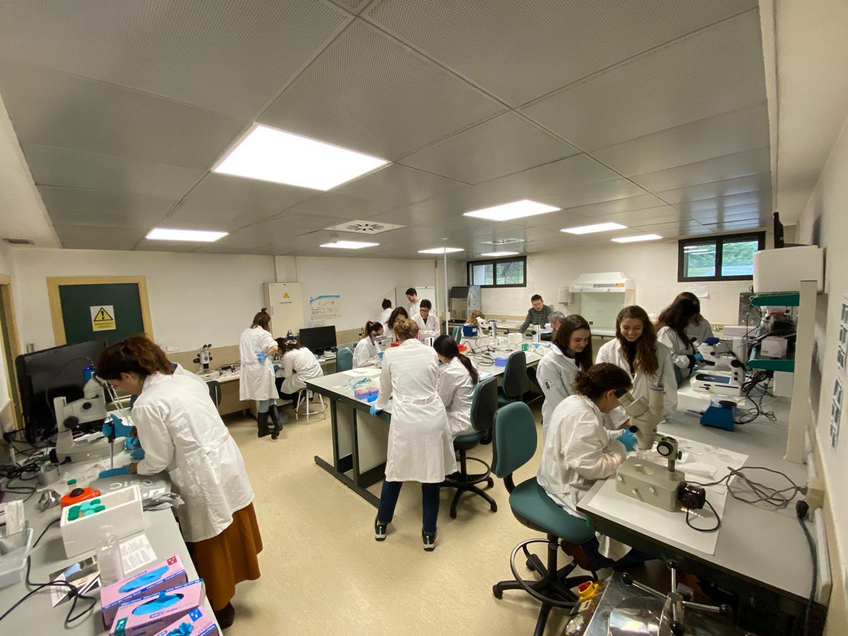 aera2024madrid's tweet photo. Por fin llegó el día! Comenzamos #AERA2024 a tope con nuestros talleres en biotecnología de la reproducción en diversas especies 🐱🐐🐄 @INIA_es @VeterinariaUCM https://t.co/UC2eZhn8Hr