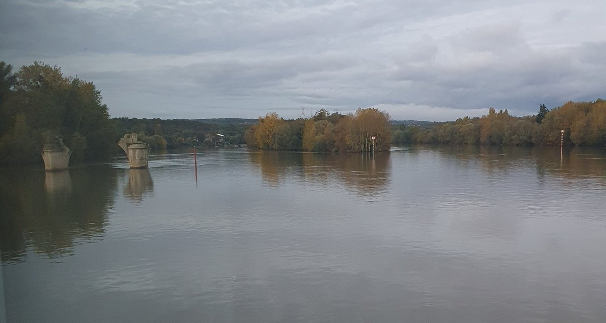 Masters Rugby League Referee tweet media