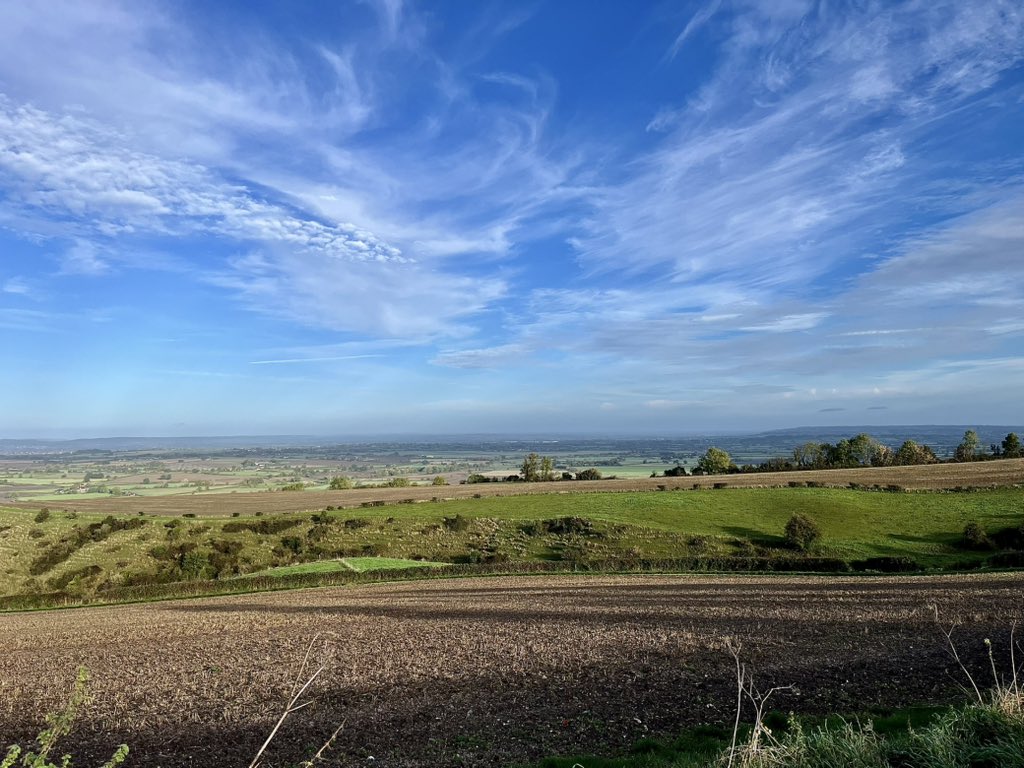 Fabulous walk up in Salisbury Plain this morning. That gorgeous golden ball came out, so we were able to bask in all its glory ☀️🥾🐕