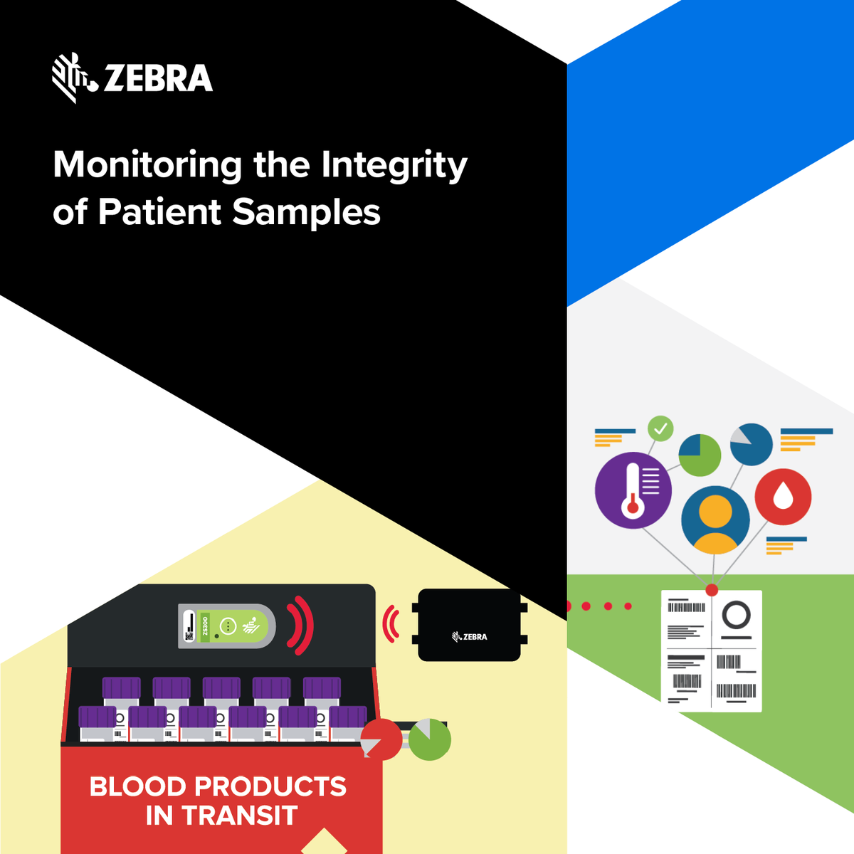 SabineZebra's tweet photo. Did you know that new technology can provide labs with the confidence that patient samples haven’t experienced temperature excursions? What’s more, the solution is really simple – as Zebra's new illustration explains. https://t.co/lFo1tTuCMP

#ZebraEmployee https://t.co/45yMr6jjV2