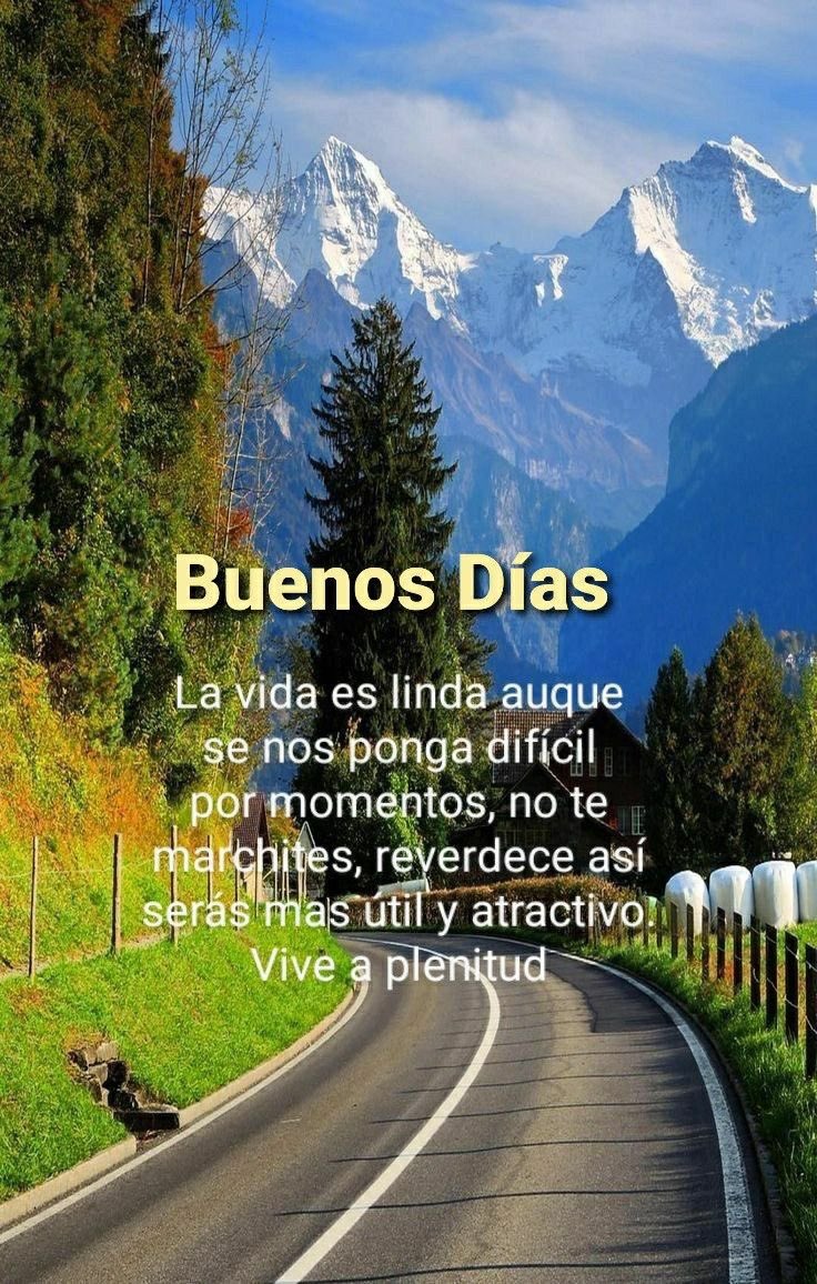 Toño Aldana tweet media