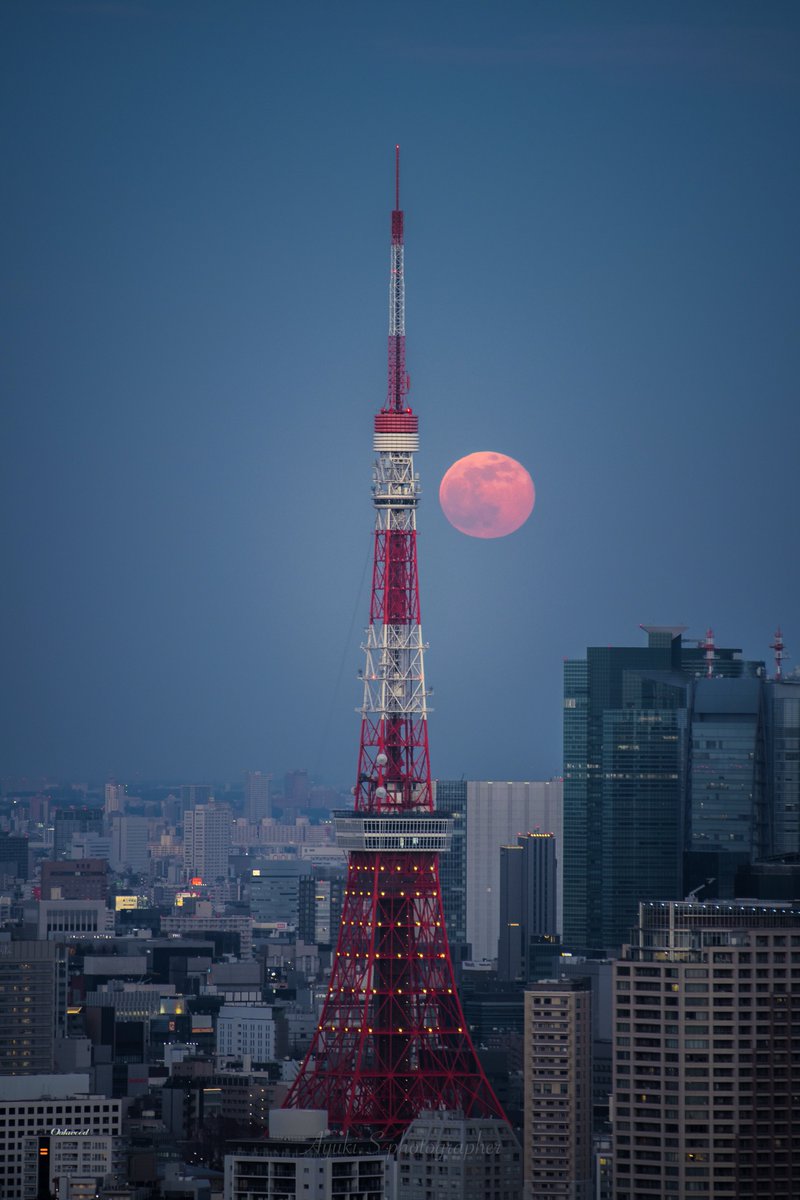 auki999's tweet image. 今宵はスーパームーンですね🌕🗼