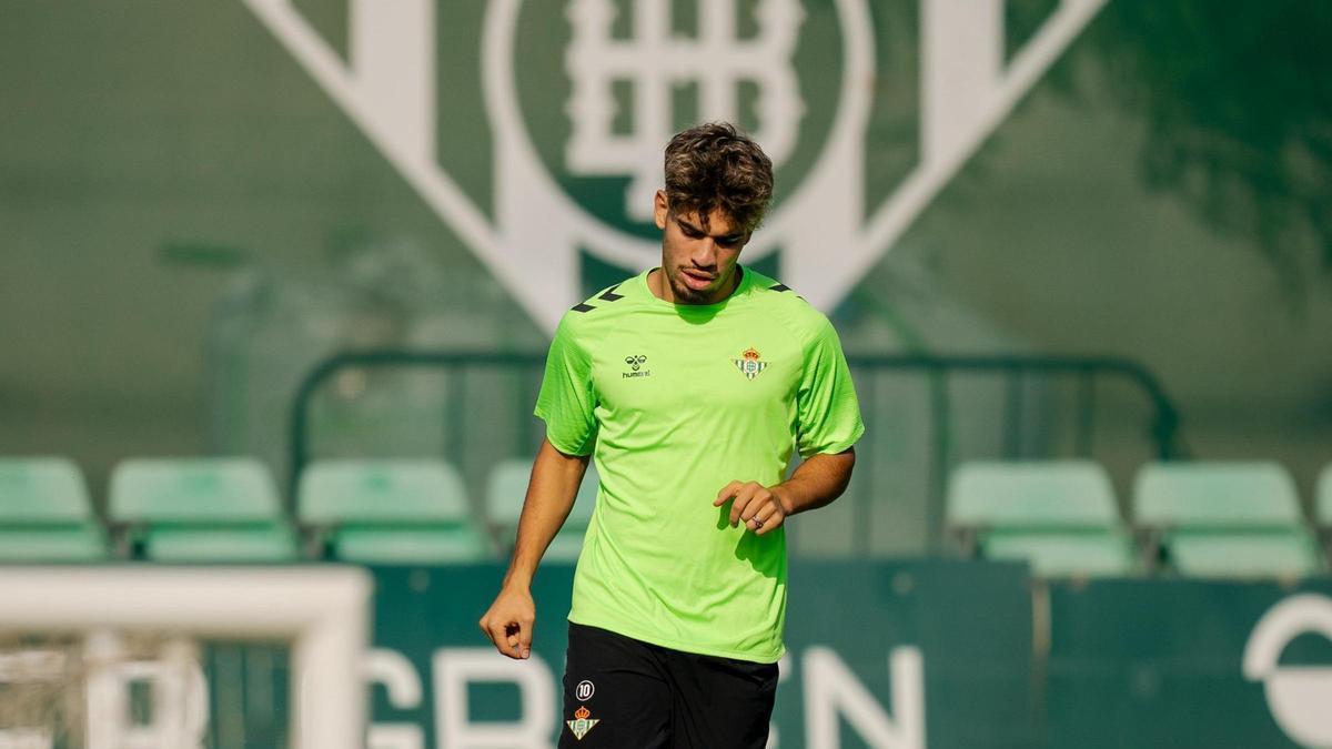 GuiaLaLiga's tweet photo. 🏃‍♂️#RealBetis: El Betis se ejercita a dos días del partido ante Osasuna.

✅Rui Silva, Ricardo Rodríguez y Abde se incorporan.

✅Sabaly y Chimy Ávila con el grupo.

✅Natan sigue en dinámica grupal.

❌Marc Roca, William Carvalho, Isco y Lo Celso, bajas. https://t.co/7zpG4iLKIq