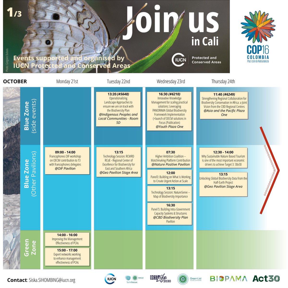IUCN_PA's tweet image. #COP16Colombia

🧳The IUCN PCA team is on the way to Cali. Check out our calendar and come and find us at one of our events!

🫱🏼‍🫲🏾Now is the time to #ACT30 for our planet.

#IUCNGreenList #BIOPAMA #BestLife2030 #Tech4Nature