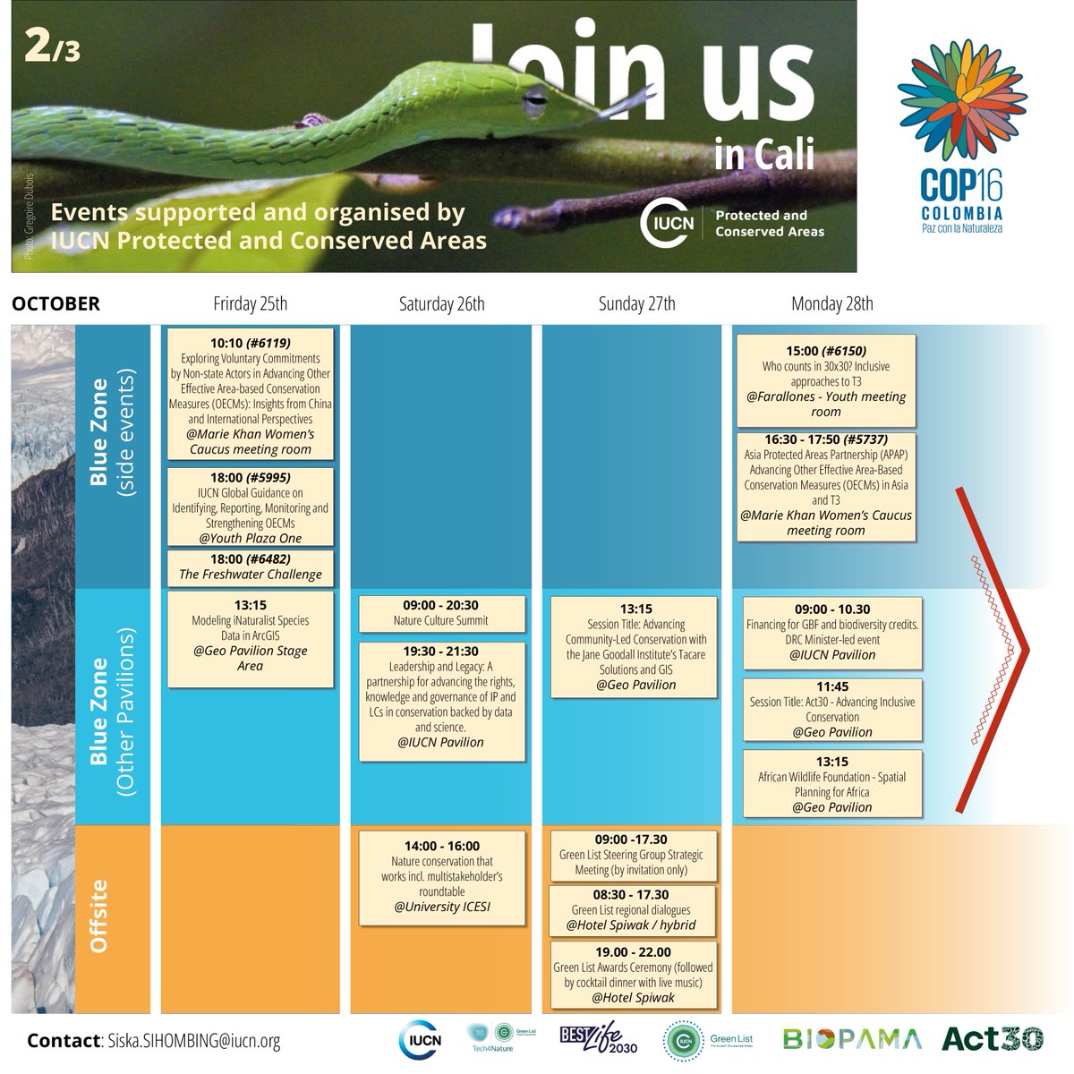 IUCN_PA's tweet image. #COP16Colombia

🧳The IUCN PCA team is on the way to Cali. Check out our calendar and come and find us at one of our events!

🫱🏼‍🫲🏾Now is the time to #ACT30 for our planet.

#IUCNGreenList #BIOPAMA #BestLife2030 #Tech4Nature
