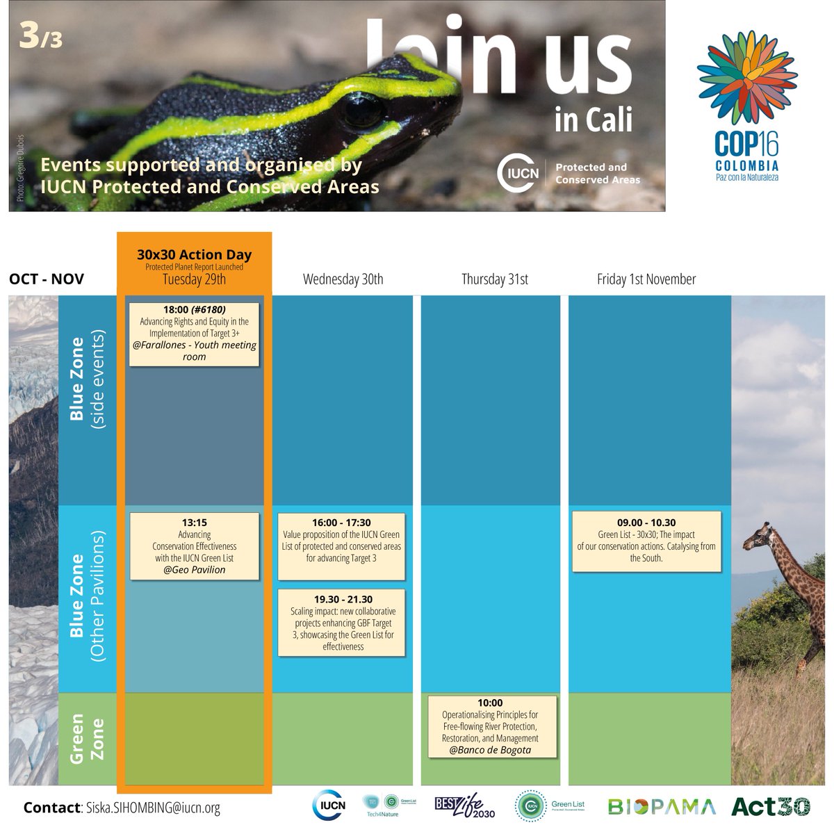 IUCN_PA's tweet image. #COP16Colombia

🧳The IUCN PCA team is on the way to Cali. Check out our calendar and come and find us at one of our events!

🫱🏼‍🫲🏾Now is the time to #ACT30 for our planet.

#IUCNGreenList #BIOPAMA #BestLife2030 #Tech4Nature