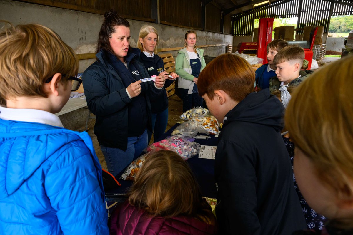 Make it Scotch Education tweet media