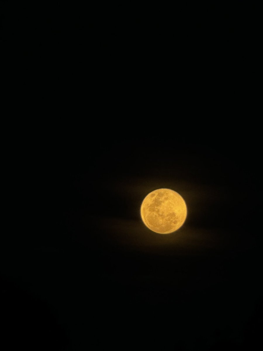 nextdoorcaloy's tweet photo. The brightest supermoon of the year. Behold the perigee syzygy of the Earth-Moon-Sun system.

Taken from Mount Annan NSW.

📷 iPhone

#supermoon #perigee #syzygy #perigeesyzygy #sydney #camden https://t.co/MeNjo6pxt0