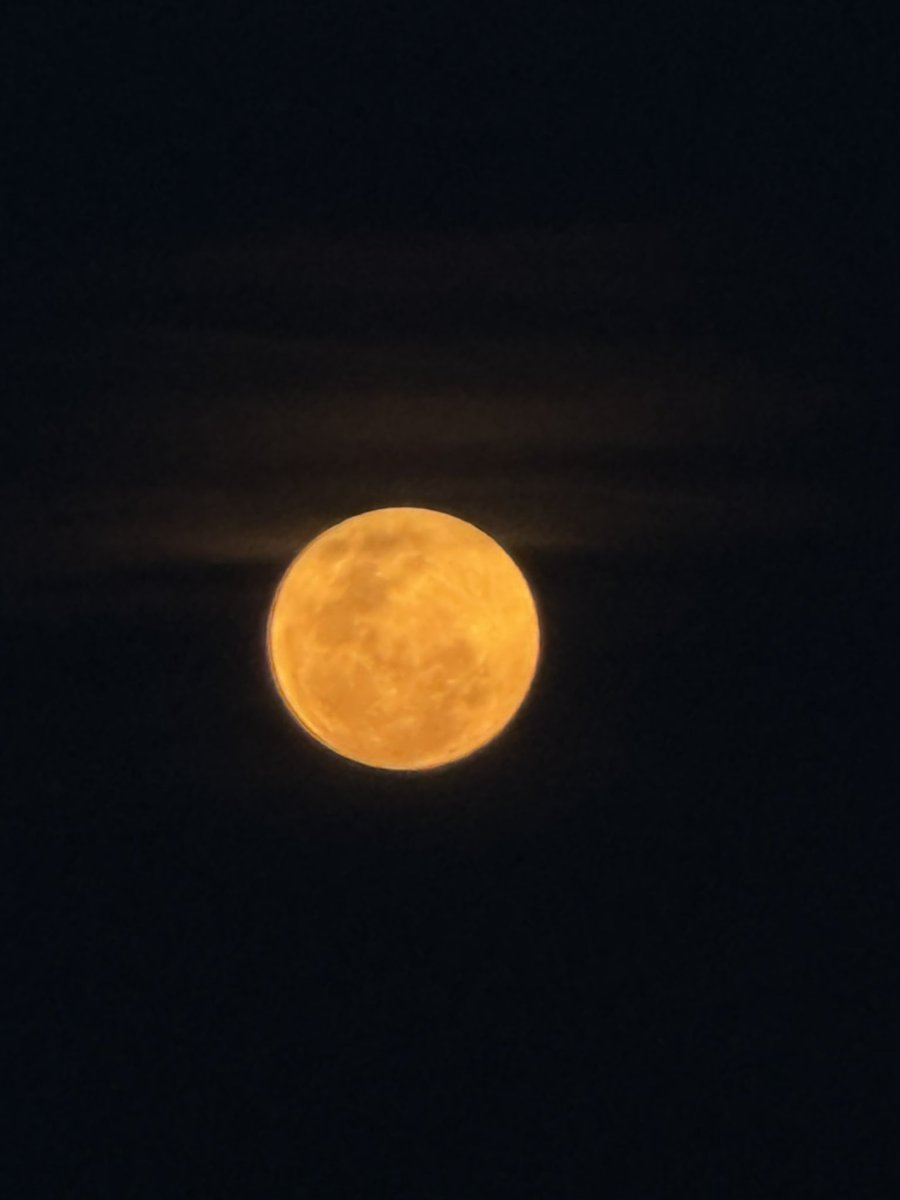 nextdoorcaloy's tweet photo. The brightest supermoon of the year. Behold the perigee syzygy of the Earth-Moon-Sun system.

Taken from Mount Annan NSW.

📷 iPhone

#supermoon #perigee #syzygy #perigeesyzygy #sydney #camden https://t.co/MeNjo6pxt0