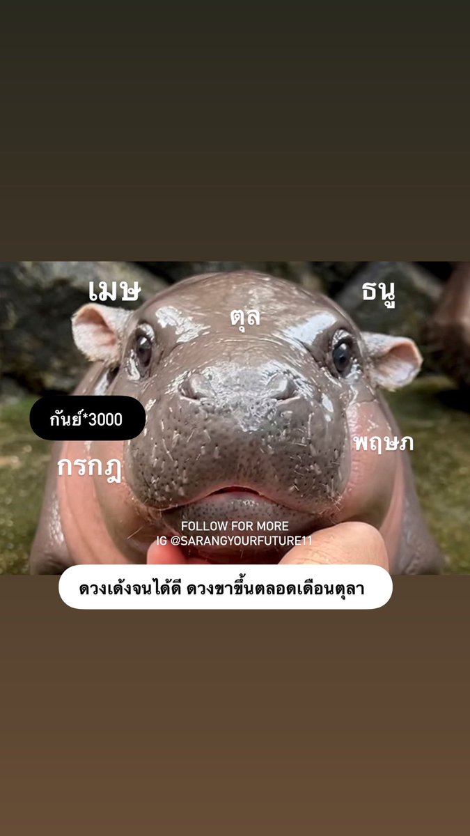 เด้งหน้า เด้งหลัง เด้งพร้อมๆกัน 😍

   “ดวงเด้งจนได้ดี ดวงขาขึ้นตลอดเดือนตุลา”
       • เมษ ตุล ธนู กรกฎ พฤษภ กันย์*3000 •

⭐️ ของจริง เกิดขึ้นภายใน 48 ชม. หลังเจอทวิตนี้

💖 รี + เม้น 999 เสริมเสน่ห์
#ดูดวง