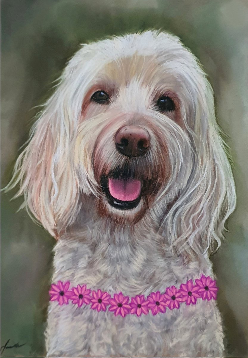 JessicaYTKeegan's tweet photo. A soft pastel on pastelmat commission. Sammy got her wings 🙏
#artist #arty #artsy #pencil #pastel #drawing #drawings #petportrait #animalart #dogdrawing #sketch #sketchbook #portrait #portraits #pencildrawing #pencilart https://t.co/A52UDYi88a